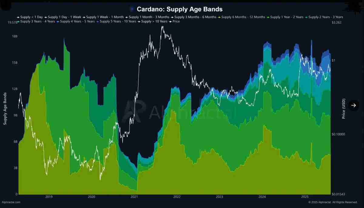卡尔达诺（Cardano）分析师预测：未来数周或将迎来150%的“强势牛市反弹”